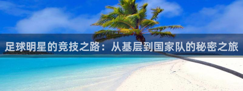 足球明星的竞技之路：从基层到国家队的秘密之旅