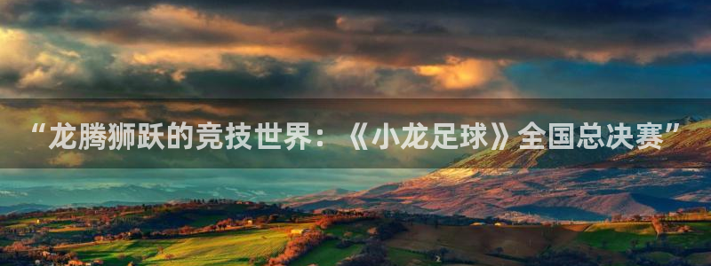  “龙腾狮跃的竞技世界：《小龙足球》全国总决赛”