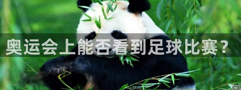 奥运会上能否看到足球比赛？