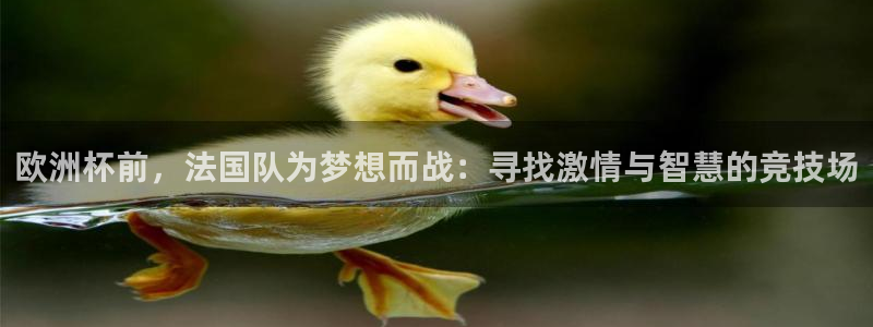  欧洲杯前，法国队为梦想而战：寻找激情与智慧的竞技场