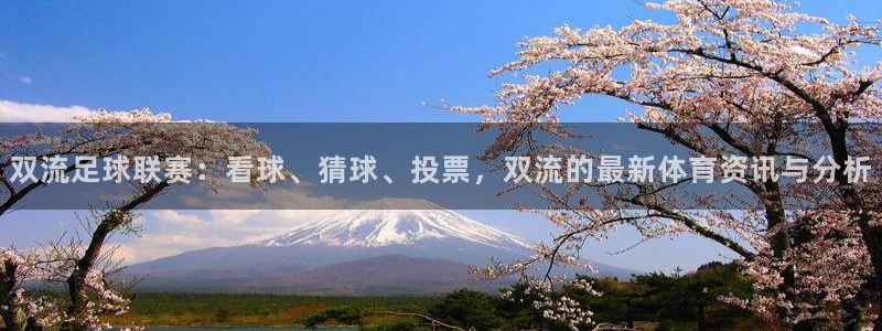  双流足球联赛：看球、猜球、投票，双流的最新体育资讯与分析