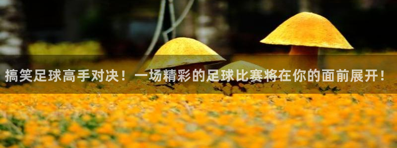  搞笑足球高手对决！一场精彩的足球比赛将在你的面前展开！