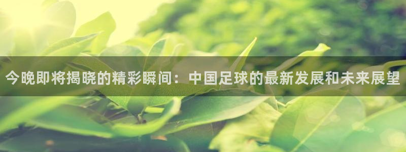  今晚即将揭晓的精彩瞬间：中国足球的最新发展和未来展望