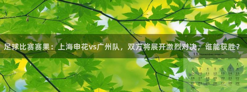  足球比赛赛果：上海申花vs广州队，双方将展开激烈对决，谁能获