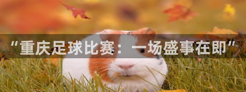 “重庆足球比赛：一场盛事在即”