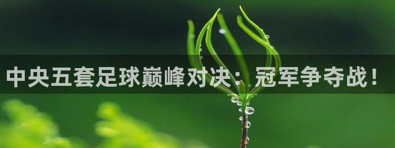 中央五套足球巅峰对决：冠军争夺战！