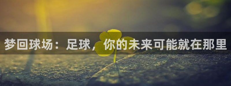 梦回球场：足球，你的未来可能就在那里
