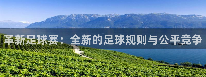 革新足球赛：全新的足球规则与公平竞争
