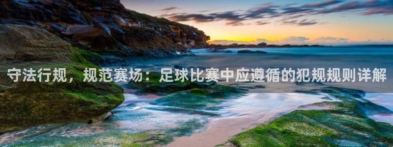 守法行规，规范赛场：足球比赛中应遵循