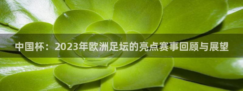 中国杯：2023年欧洲足坛的亮点赛事