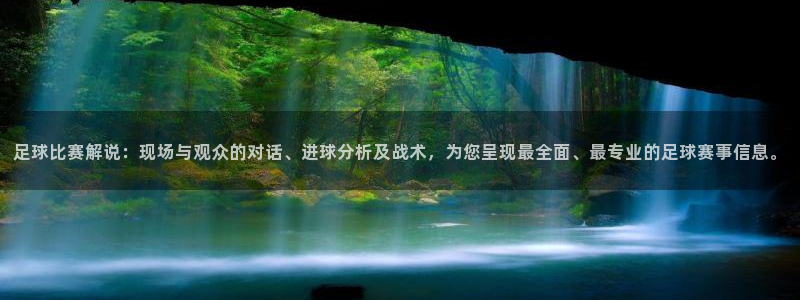 足球比赛解说：现场与观众的对话、进球