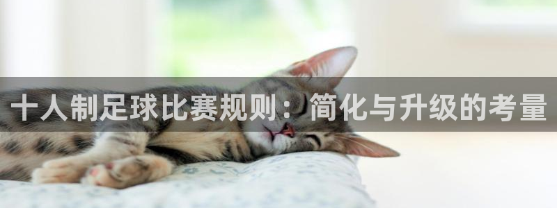 十人制足球比赛规则：简化与升级的考量