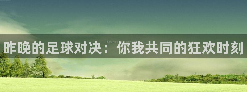 昨晚的足球对决：你我共同的狂欢时刻