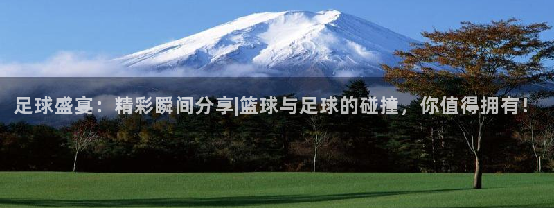 足球盛宴：精彩瞬间分享|篮球与足球的