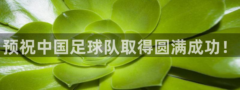 预祝中国足球队取得圆满成功！