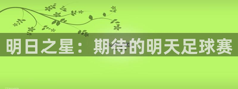 明日之星：期待的明天足球赛