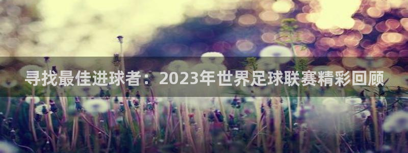 寻找最佳进球者：2023年世界足球联