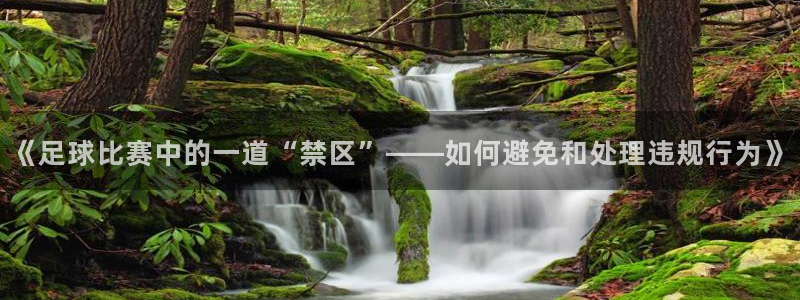 《足球比赛中的一道“禁区”——如何避